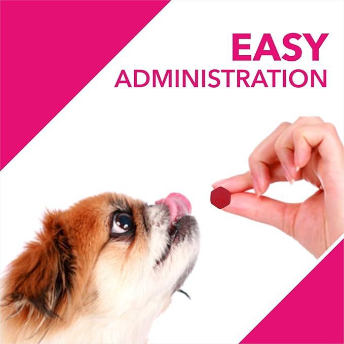 Drools Absolute Skin + Coat Tablet- Dog Supplement, 50 Pieces