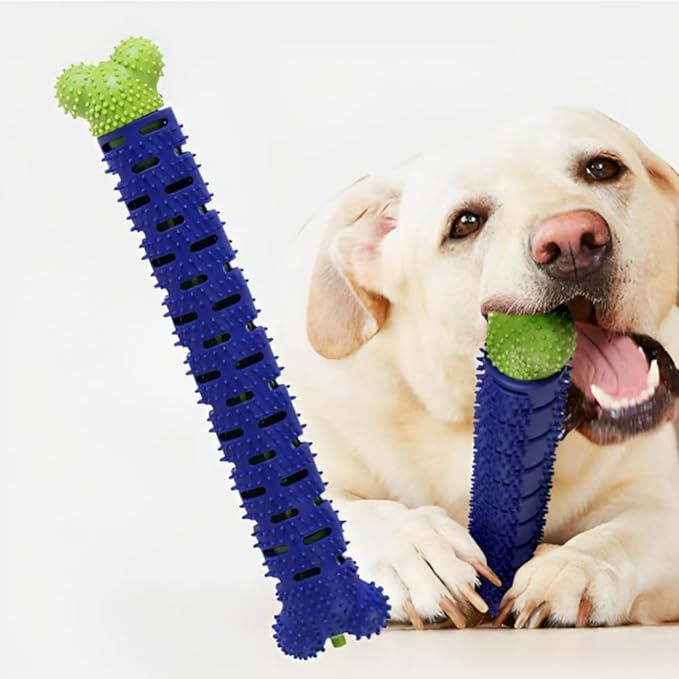 Dog Toothbrush Chew Toy, Non-Toxic Teething Bone, Dental Care Accessory, Blue and Green