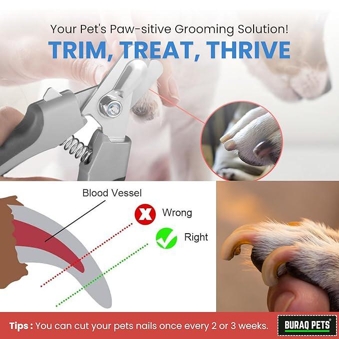 Buraq Pets Dog Nail Cutter with Nail Filer, Professional Pet Nail Clipper for Dogs, Cats, Puppies & Small Animals, Durable, Safe, Ergonomic Grooming Tool for Precise Trimming