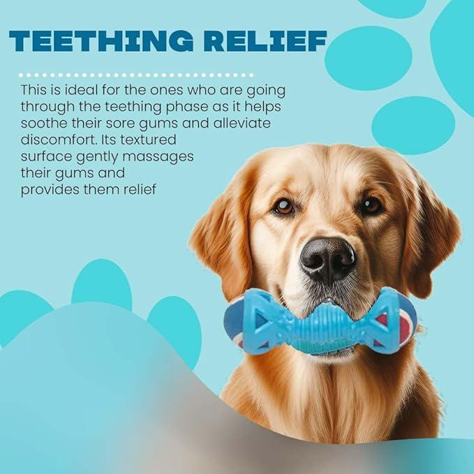 aakichi TPR Cosco Ball Dog Toy | Interactive Squeaky Toy for Training | Pets Entertainment and Exercise Accessories | Dogs-Puppies Chew Toys for Play and Dental Health