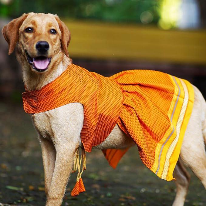 My Art Bucket cotton Parkar Polka Dress For Small Dog Girl Puppy Clothes Female Princess Tutu Striped Skirt Summer Shirt For Shihtzu, Pug, Poodle Cat Pet Apparel Outfits (L, Orange), 1 count