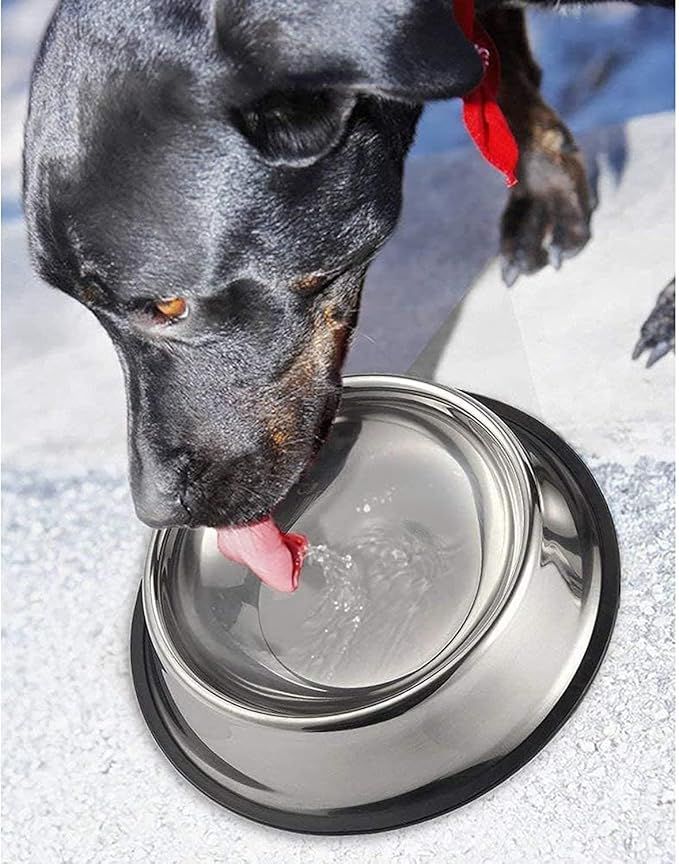 Berlin's Stainless Steel Pet Feeding Bowls for Dogs and Cats | Dry Kibble, Wet Food, Water Bowl | No-Tip, Non Sliding Design | Dishwasher Safe (Pack of 1, 200ml)