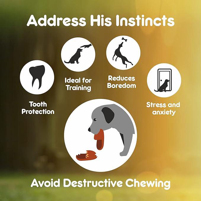PUREPET Dog Treat Chew Bones,10.16Cm 160G, All Life Stages, Pack Of 4 Bones