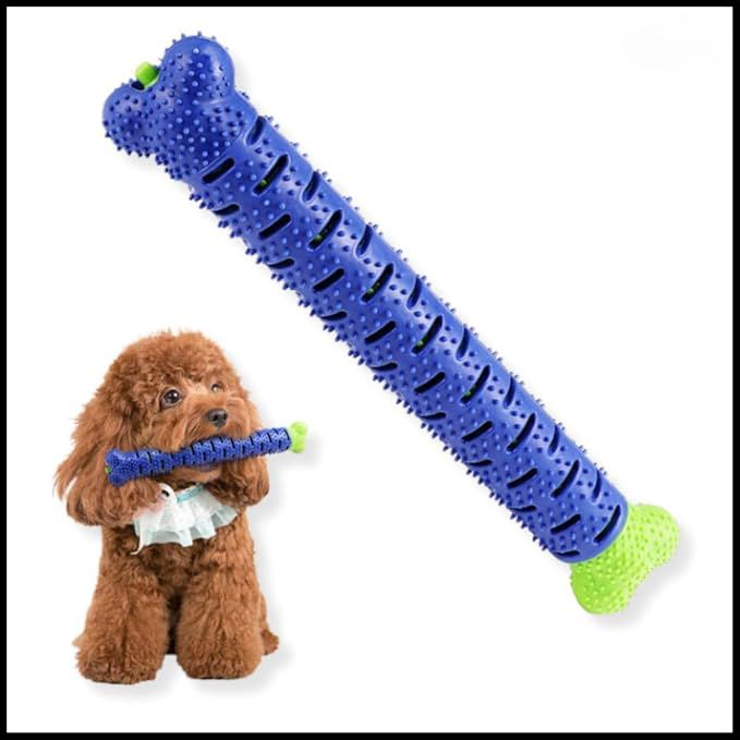 Dog Toothbrush Chew Toy, Non-Toxic Teething Bone, Dental Care Accessory, Blue and Green