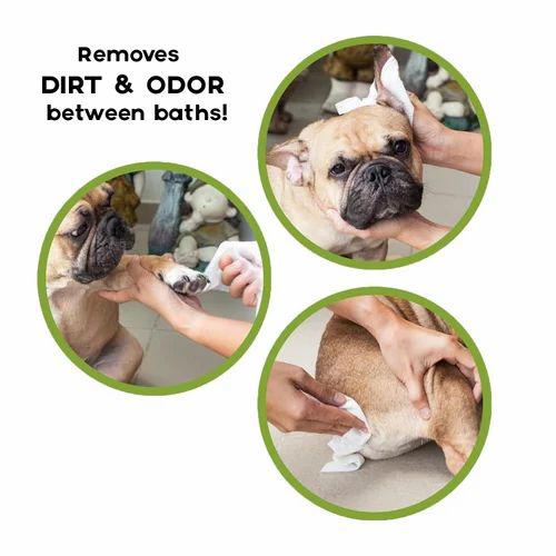 Cature Care by Nature Biodegradable Pet Wipes – Aloe Vera & Neem for Gentle & Effective Cleaning, Natural & Eco-Friendly, 100 Wipes (Pack of 2) for Dogs & Cats