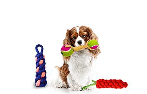 RvPaws Dog Toys Accessories- Combo of 3 Durable Pet Toy- Clean Chew Biting Knotted Puppy Teeth Toy for Puppies