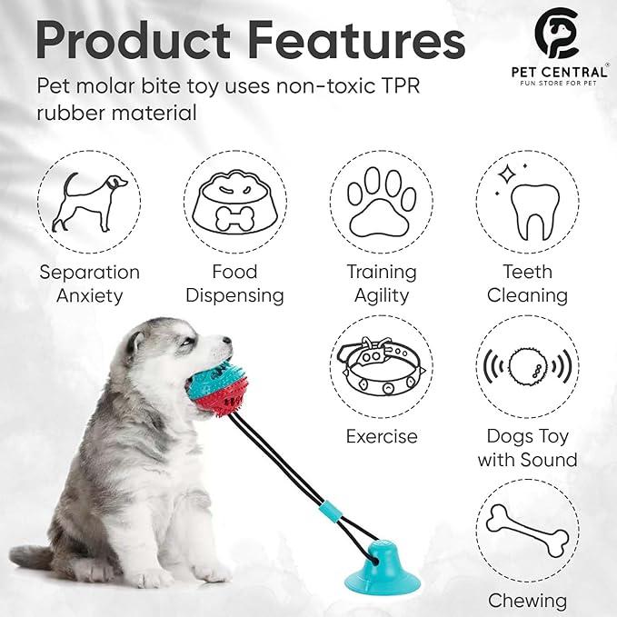 Pet Central Interactive Toy | Suction Cup Chew Toy for Aggressive Chewers | Treat Dispensing Squeaky Dog Toy for Stimulation and Self-Playing | Tug of War Rope With Teeth Cleaning Ball