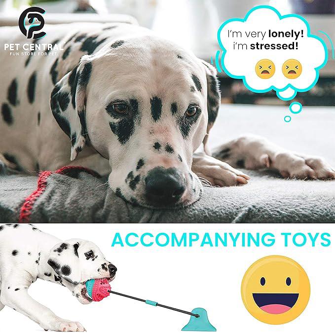 Pet Central Interactive Toy | Suction Cup Chew Toy for Aggressive Chewers | Treat Dispensing Squeaky Dog Toy for Stimulation and Self-Playing | Tug of War Rope With Teeth Cleaning Ball