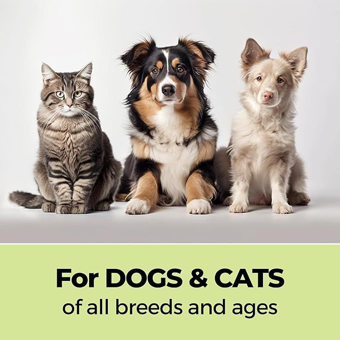 Moe Pet Care Shampoo Combo for Nourishment, Vitality & Fur Repair | Shampoo Plus Conditioner + Keratin Plus | Sulfate & Paraben Free | pH Balanced for Dogs & Cats (Pack of 2) (600ml)